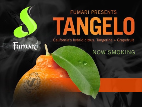 Fumari has a new flavored tobacco Tangelo