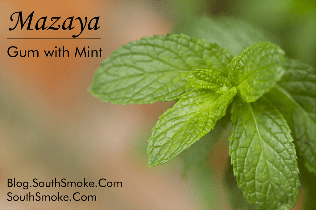 Mazaya Gum With Mint Flavored Tobacco Review