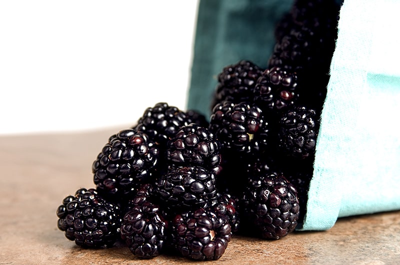 Blackberry a new flavor from Al Waha Tobacco