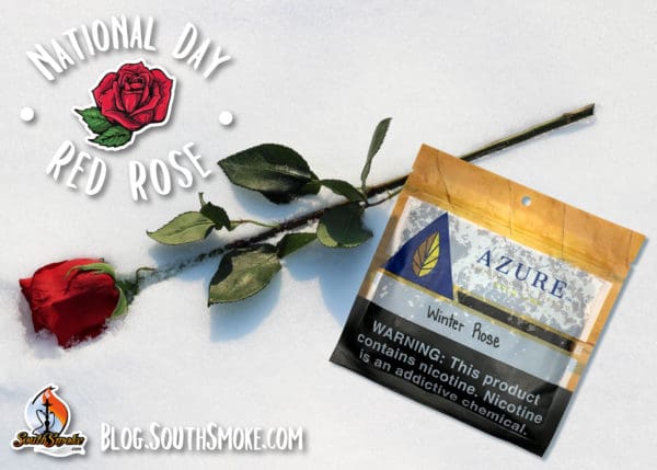 National Day Red Rose Blog Azure Tobacco in snow