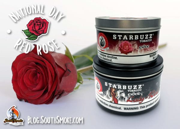 National Day Red Rose Blog Starbuzz Tobacco and rose on white table