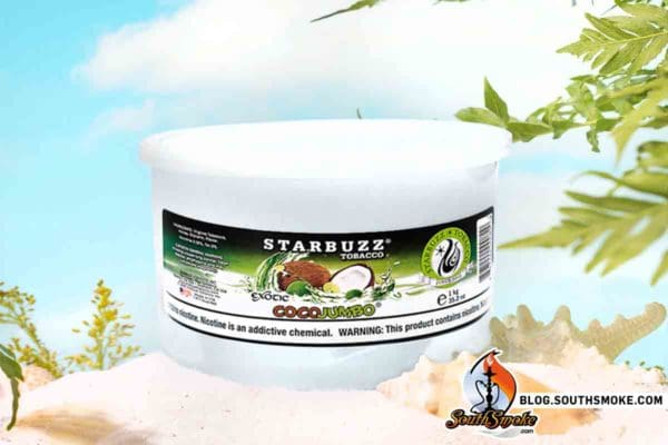 Starbuzz Coco Jumbo Kilo Tub on beach sand with seashells and greenery